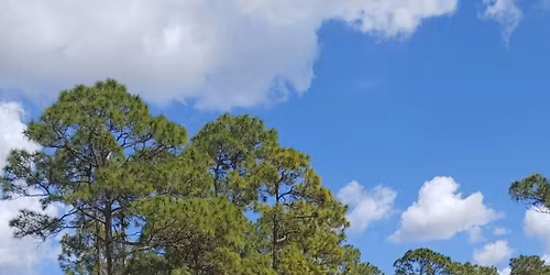 Free Range Farm on Sundays