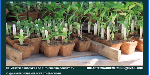 2026 Master Gardeners Annual Plant Swap