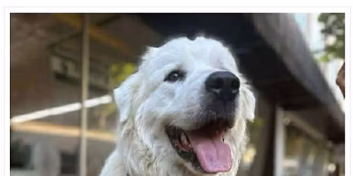 Monthly Meet & Greet 