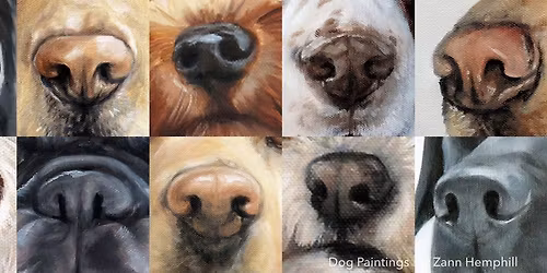 CPE Scent Sport Trial