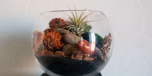 Fall Air Plant Terrarium Workshop