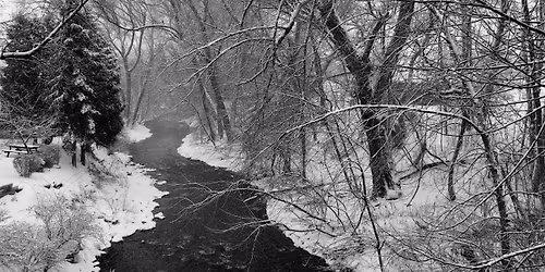 Changing Seasons: Winter's Invitation