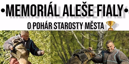 Obrana\u0159sk\u00fd z\u00e1vod MEMORI\u00c1L ALE\u0160E FIALY O POH\u00c1R STAROSTY M\u011aSTA