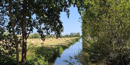 Les marais et l'\u00eele de Robehomme.