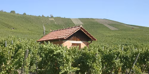 Kulinarische Weinprobe mit drei Weing\u00fctern im Lamm in Hebsack