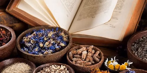 Rebel Apothecary 101