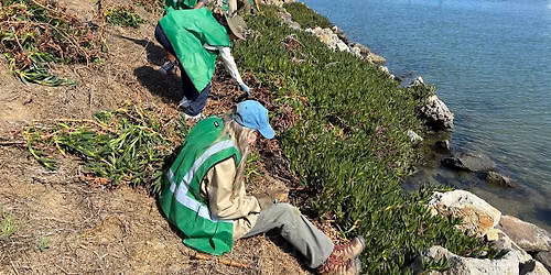 Coastal Cleanup Day on Treasure Island