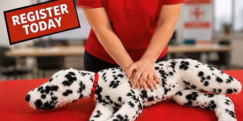 Pet CPR and First Aid Certification and Fundraiser for Dog Safety Council Lutz, FL
