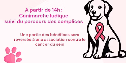Toutou en rose