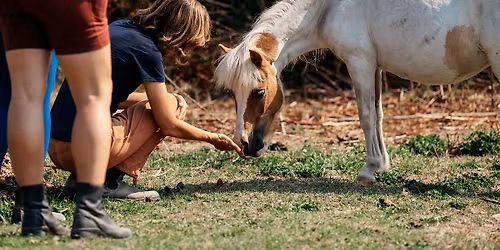 🍂Mother & Daughter Women’s Circle with the Herd 🍁