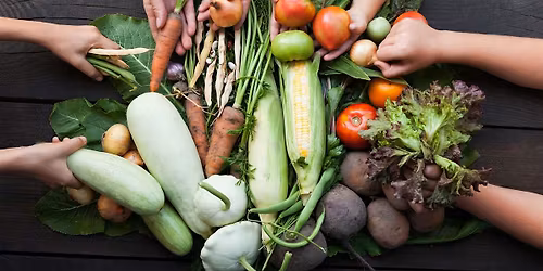 Hands-On Food for a Sustainable Cork with Cork Food Policy Council