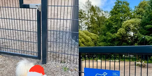 Lauttasaaren koirapuistotapaaminen