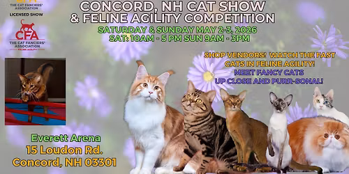 Come visit Concord's Annual Cat Show featuring Feline Agility!