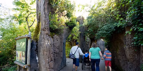 Celebrate Disability Pride Month with Seattle Public Library and Woodland Park Zoo