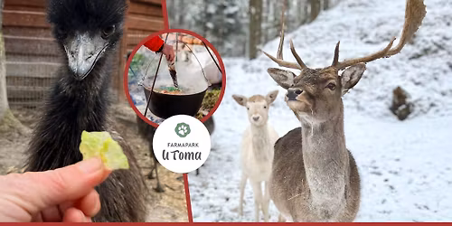 Novoro\u010dn\u00ed \u010desne\u010dka ve Farmaparku u Toma