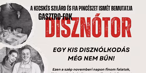 11.08. DISZN\u00d3TOR-NYITOTT RENDEZV\u00c9NY