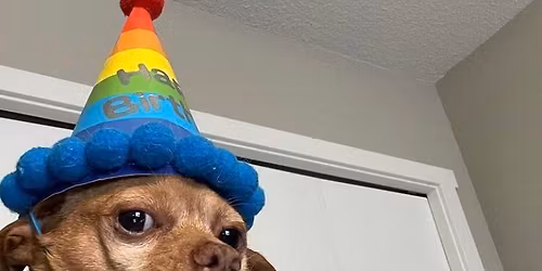 Hbd Kaarl \ud83d\udd25