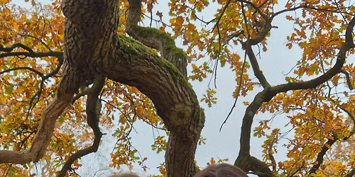 JAHRESAUSKLANG MIT LINA RO\u00df & L`ANISA