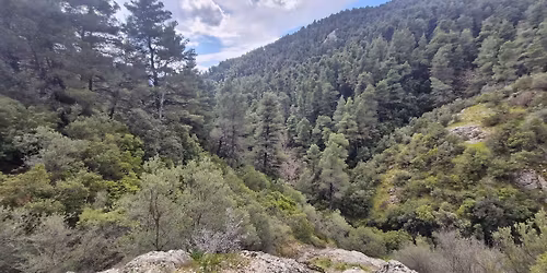 \ud83c\udf3f \u0391\u03c1\u03c7\u03b1\u03af\u03b1 \u0386\u03c4\u03c4\u03b1\u03bb\u03b7: \u03a4\u03bf \u039a\u03c1\u03c5\u03bc\u03bc\u03ad\u03bd\u03bf \u039c\u03c5\u03c3\u03c4\u03b9\u03ba\u03cc \u03bc\u03b9\u03b1\u03c2 \u039e\u03b5\u03c7\u03b1\u03c3\u03bc\u03ad\u03bd\u03b7\u03c2 \u0394\u03b9\u03b1\u03b4\u03c1\u03bf\u03bc\u03ae\u03c2. 