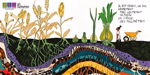 Simply Soil: Community Play with Words