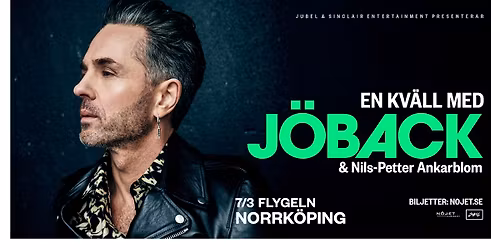 En kv\u00e4ll med J\u00f6back I Norrk\u00f6ping, Flygeln