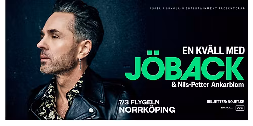 En kv\u00e4ll med J\u00f6back I Norrk\u00f6ping, Flygeln