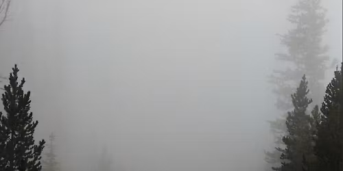 Kiedy w terapii pojawia si\u0119 pytanie o uzale\u017cnienie