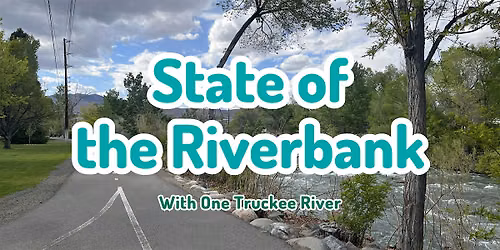 State of the Riverbank - Idlewild Park