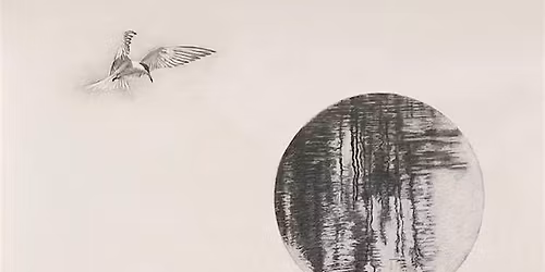 Gallery Talk: Where Water Keeps Time: Graphite Drawings by Janis Goodman