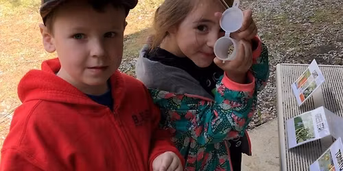 Homeschool Series: Beginning Seed Starting