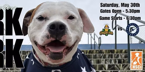 Bark in the Park with The Normal Cornbelters