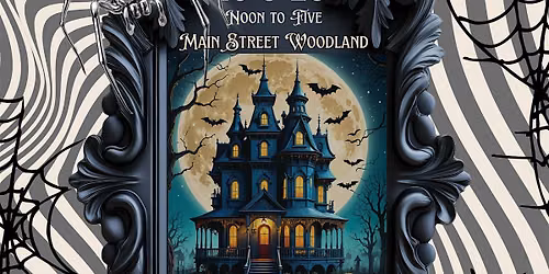 Woodlands Haunted Bazaar Downtown Woodland