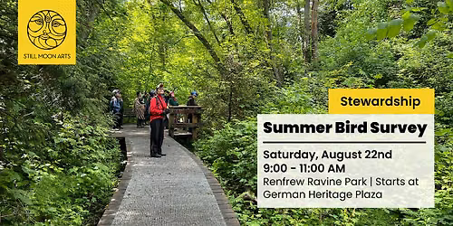 Summer Bird Survey