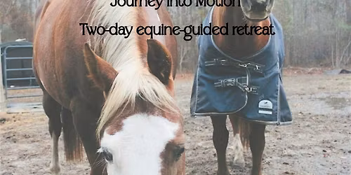 Journey Into Motion Retreat