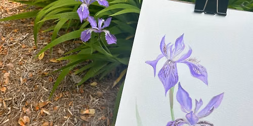 Creative Aging Art Workshop