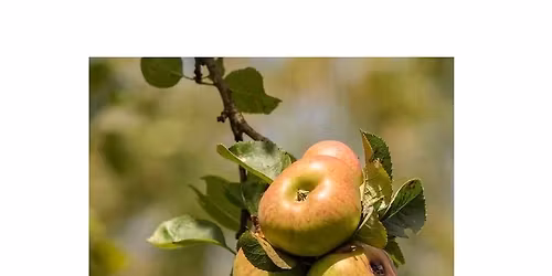 A Jolly Good Wassail