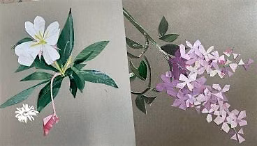 Birds and Botanicals Collage Workshop