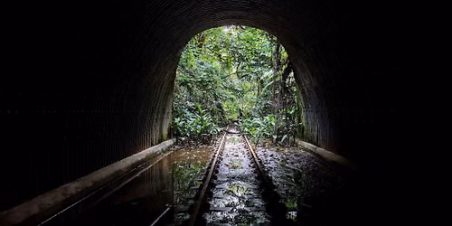 [Mini Hike] Maju Forest