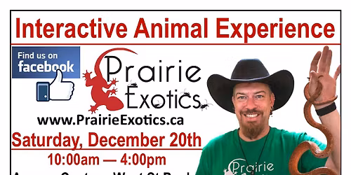 Holiday Interactive Animal Experience