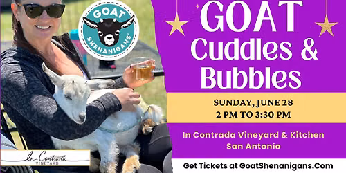 Goat Cuddles & Bubbles at In Contrada Vineyard & Kitchen