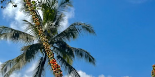 Release & Rise Women\u2019s Retreat Bali