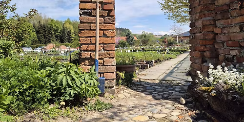 Monatliche F\u00fchrungen bei Sarastro Stauden mit Kaffeeklatsch. 
