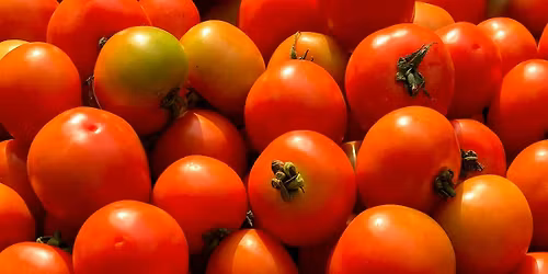 The French Technique: Art of Sauces (Week 4: Tomato Sauce)