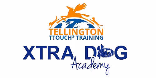Introduction to Tellington TTouch\u00ae for Dogs