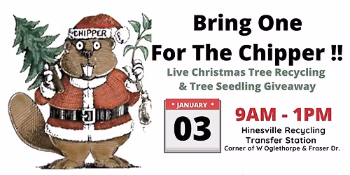 Bring One For The Chipper - Christmas Tree Recycling and Seedling Giveaway