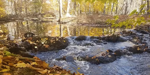Moshassuck River Preserve Hike
