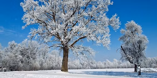 Winter Landscape Photography Hike