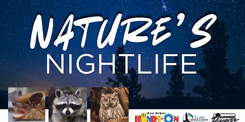Nature's Nightlife