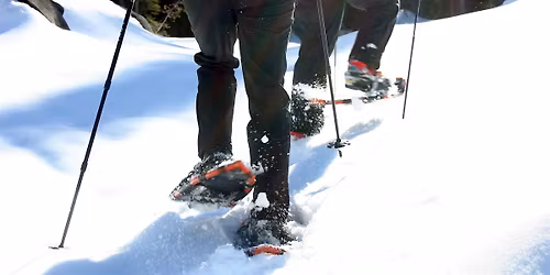 Snowshoeing