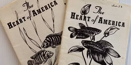 HAAS KC Aqua Auction